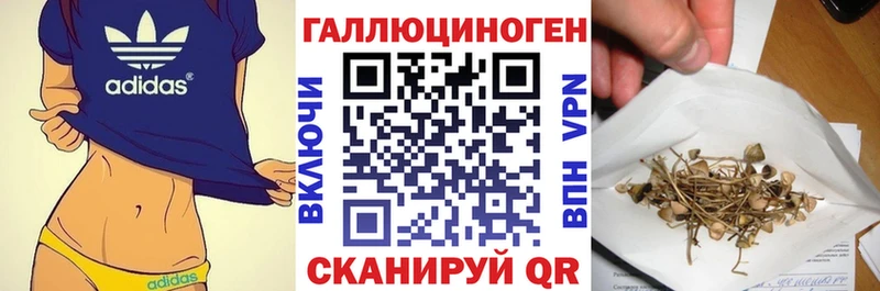 дарнет шоп Абакан hydra вход Псилоцибиновые грибы MAGIC MUSHROOMS